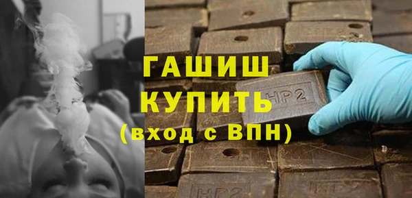 МДПВ Пересвет