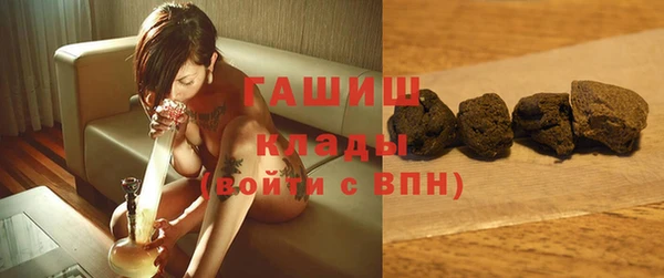 МДПВ Пересвет