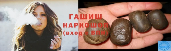 МДПВ Пересвет