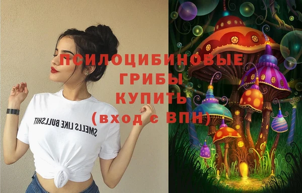 дмт Пестово