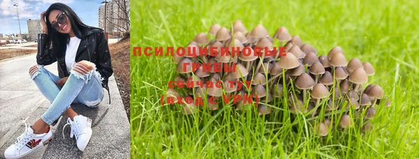 МДПВ Пересвет