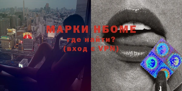 дмт Пестово