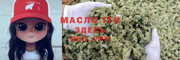 дмт Пестово