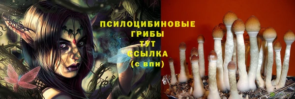 дмт Пестово