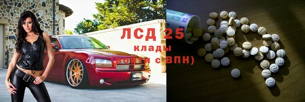 МДПВ Пересвет