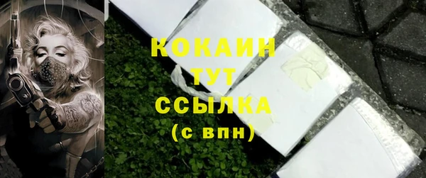 МДПВ Пересвет