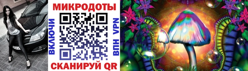 Купить  Кораблино  Галлюциногенные грибы GOLDEN TEACHER 